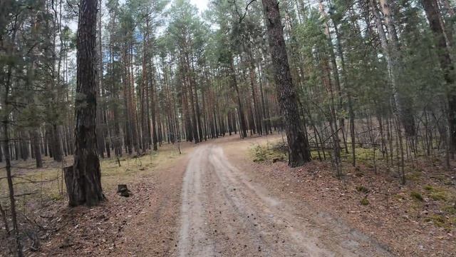 тест Dji action 4 и Insta 360 ace