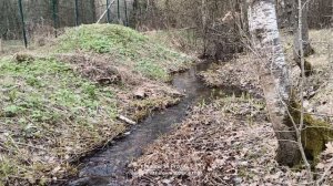 Лесной вешний ручей 🏞️🌲🌲🌲 17.04.2026