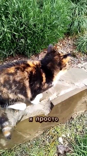 11-й день рассвета: это лучше всех будильников мира