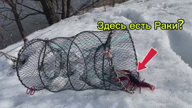 Проверим сработает?