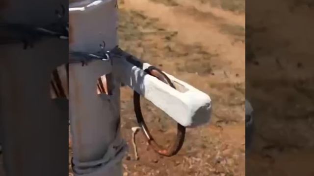 😉 Берём на заметку, классную идею для замка на дачу

Лайфхаки | Полезные Советы