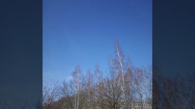 Ну надо же  Copyright: Бронислав Сычёв 2026
Свидетельство о публикации 126012505949