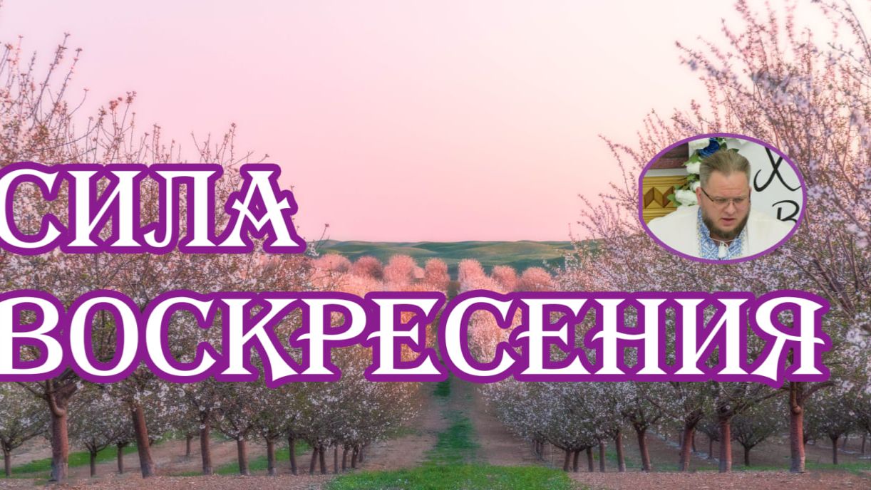Сила воскресения  Илья Матвейчук
