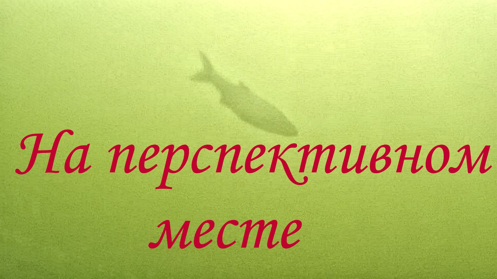 Здесь обитает хищник #Подводная охота