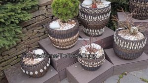 Как плетеные кашпо из ротанга и растения, посаженные в них переживают зиму?