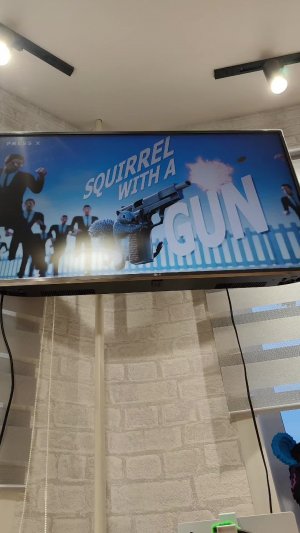 играем в белку с пистолетом