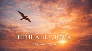 ПТИЦА БЕЗ ДОМА. Эмоциональная песня