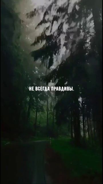 #1057 Цитата дня. Мотивация.