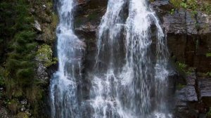 Водопад в лесу 🌿Белый шум воды. Расслабляющие звуки для сна, отдыха и учебы