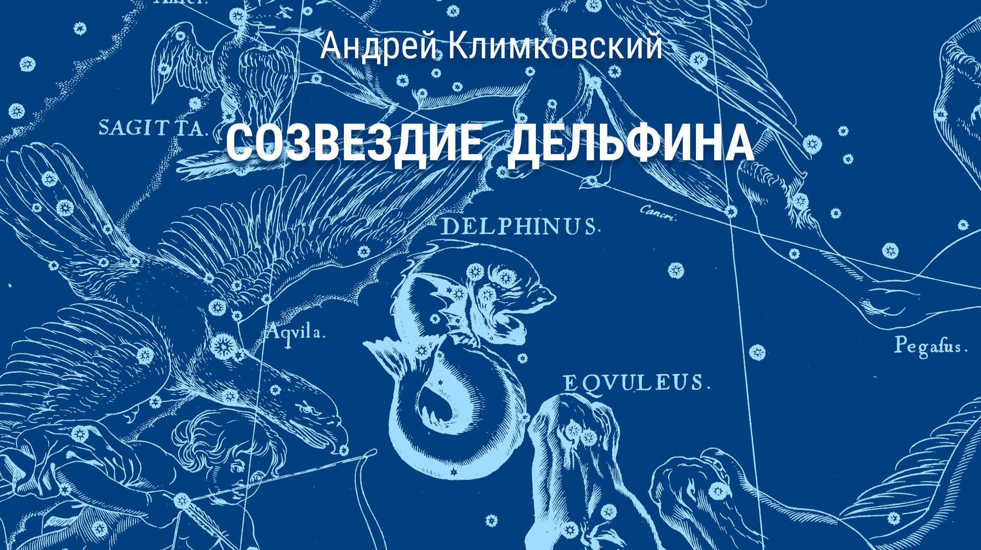 Созвездие Дельфина