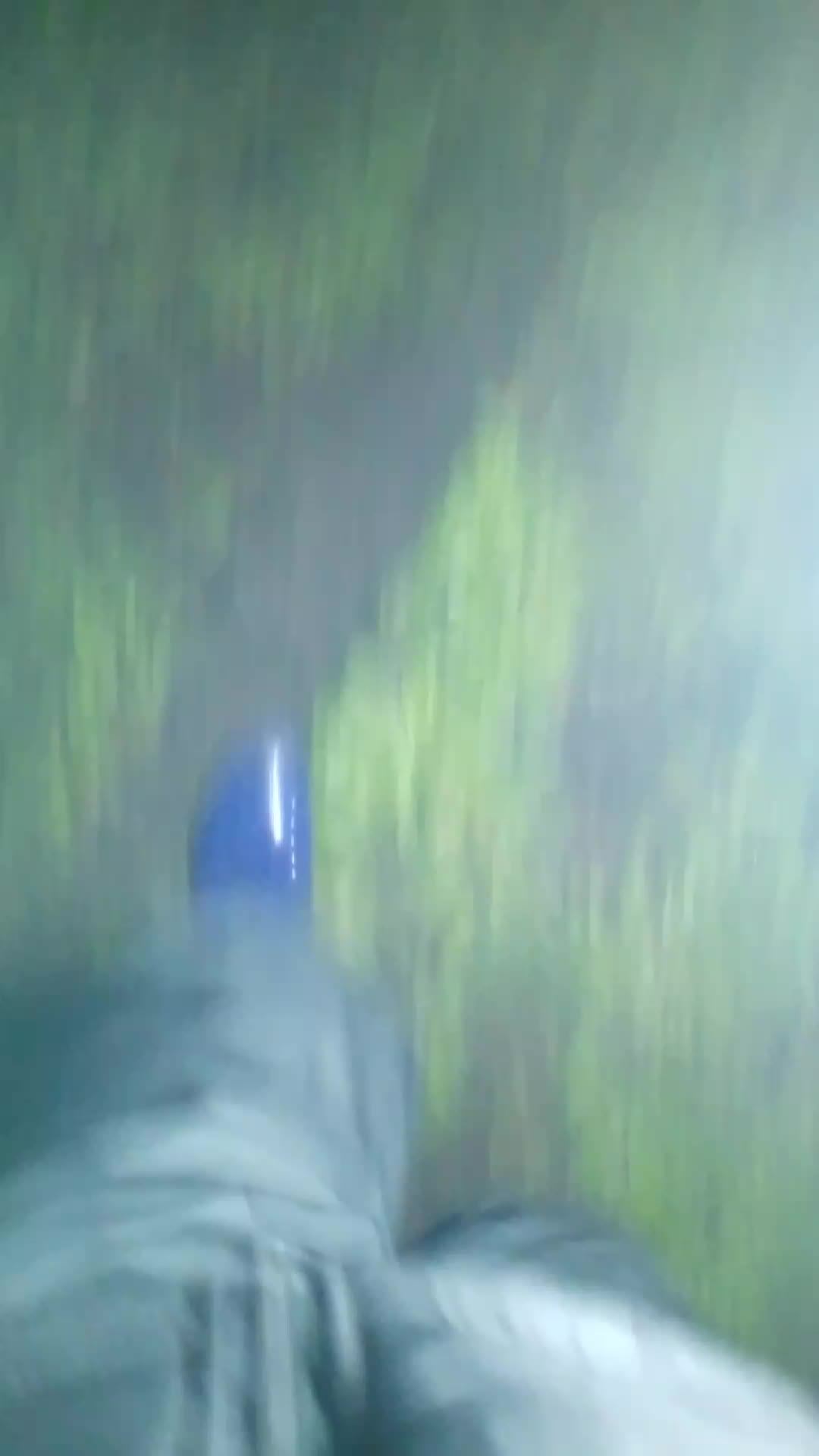 хоррор, обитание в заброшенном дворе (он не заброшен)