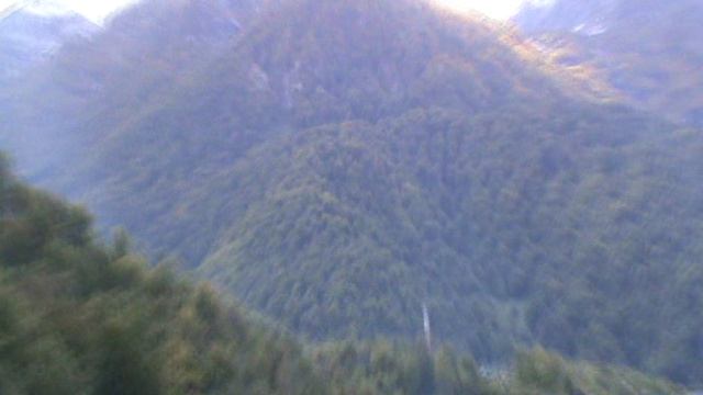 202)й РОЗА ХУТОР