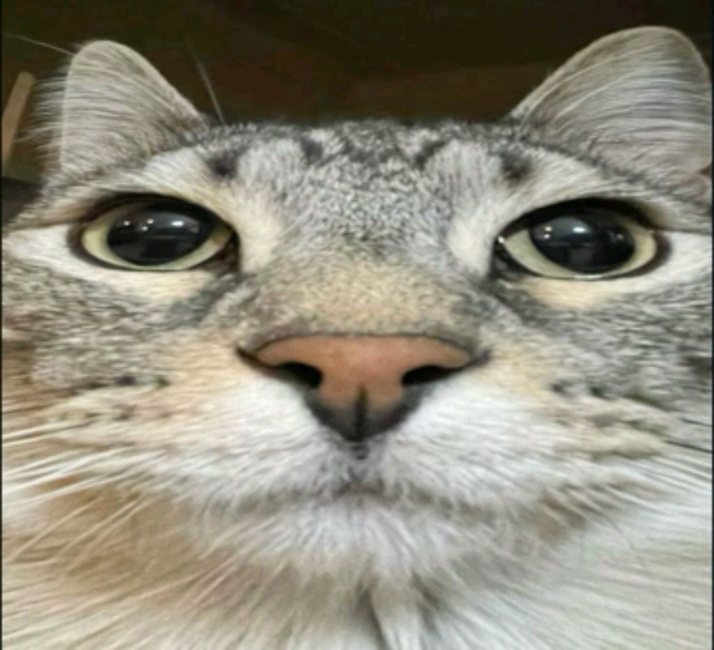 распаковка и гулянка