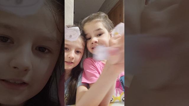 распаковка Wawa и Тюленьчк