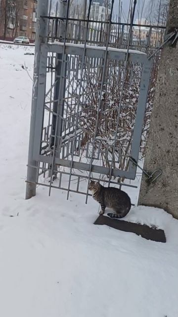 Я  люблю  обе страны😍🤩💞😁