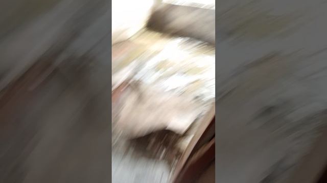 2 часть жодим по зб (КТО ТО В ЗАБРОШКЕ) подписывайтесь на моего друга bania