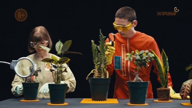 Мир комнатных растений. Анонс. Канал Загородный