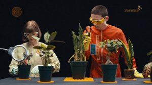 Мир комнатных растений. Анонс. Канал Загородный