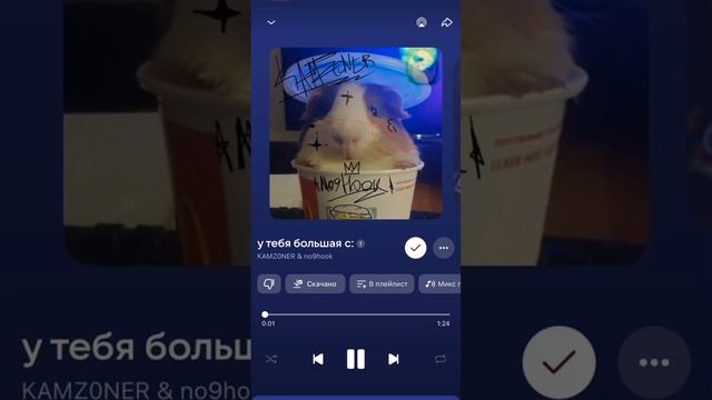 Kamz0Ner У тебя большая С 1 час