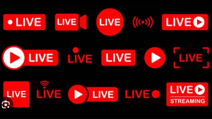 Общаюсь с чатом.