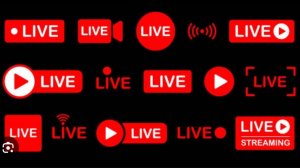 Общаюсь с чатом.