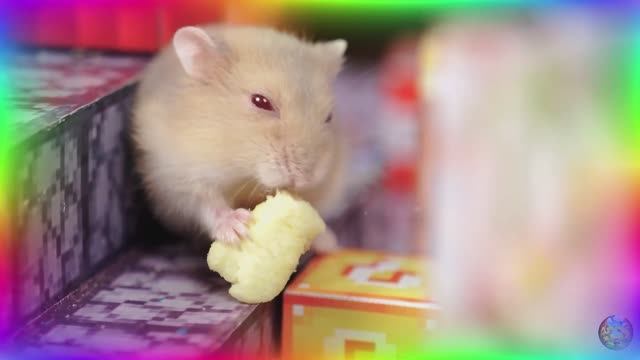 Путешествие хомячка в майнкрафт: сможет ли он покорить блоки?! часть 4