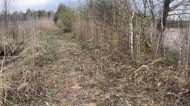 Велопрогулка по деревне. #деревня #прогулка #лес