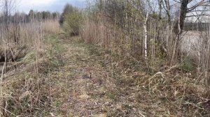 Велопрогулка по деревне. #деревня #прогулка #лес