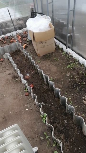 Весна огородные дела.