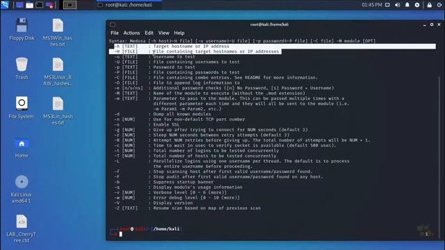 Kali Linux - Hydra Выполнение атаки грубой силы