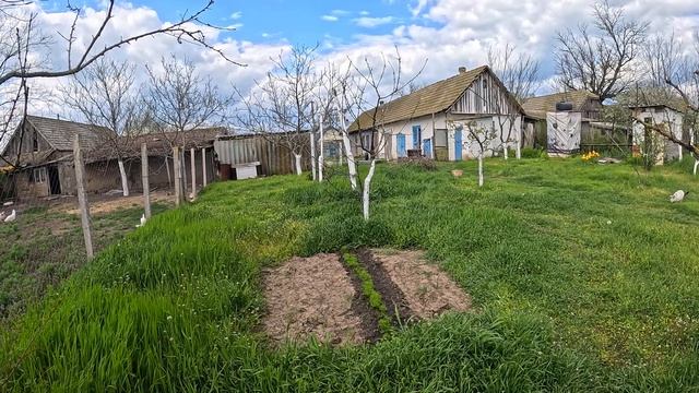 Губарева- ОДИН ДЕНЬ ИЗ ЖИЗНИ В ДЕРЕВНЕ