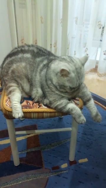 a5fd2d72-61b7-439b-bf2c-945d7f8ee356-1_all_214.3gpp