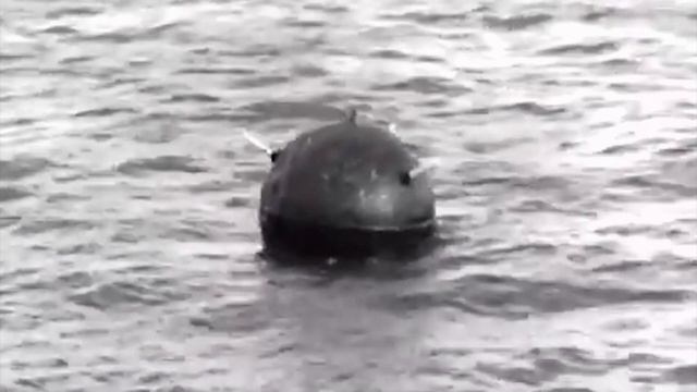 МОРСКАЯ ПЕХОТА. МООНЗУНДСКАЯ ОПЕРАЦИЯ