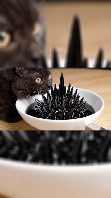 Истер и Жидкий Металл 🐾🖤 (Инопланетянин на кухне) | Ferrofluid vs Cat Curiosity #shorts #science