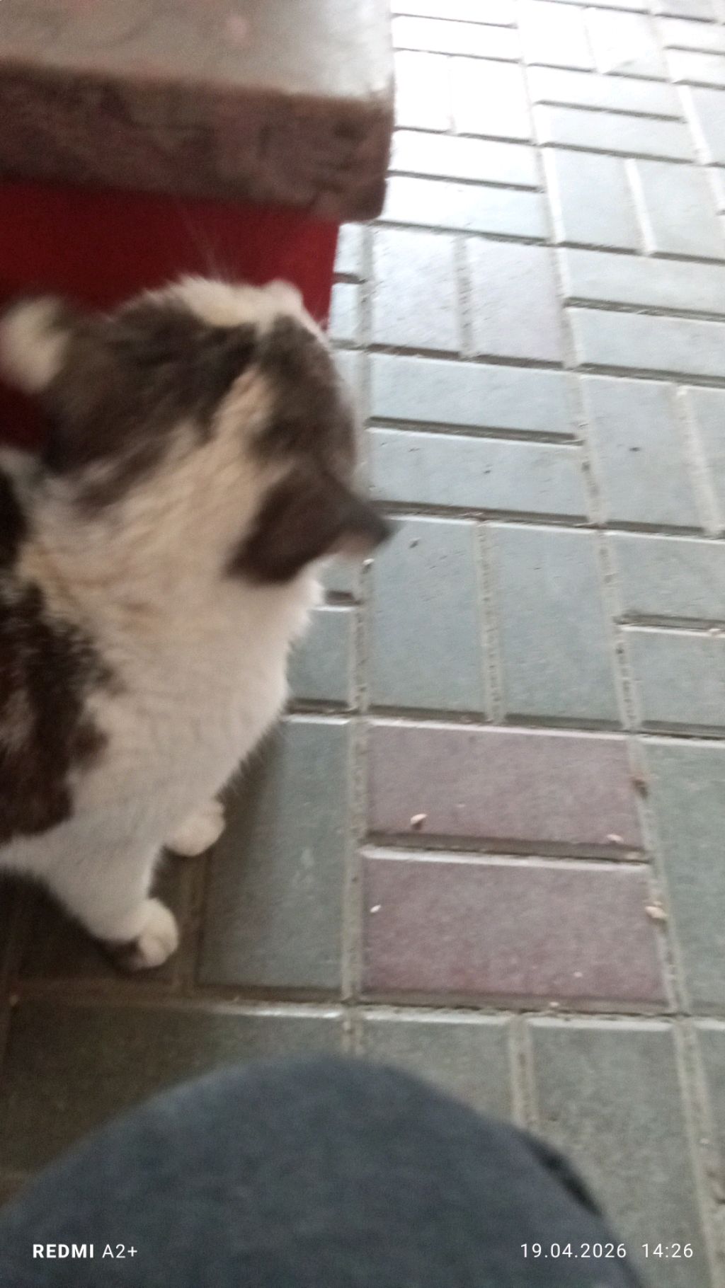 скоро я поеду