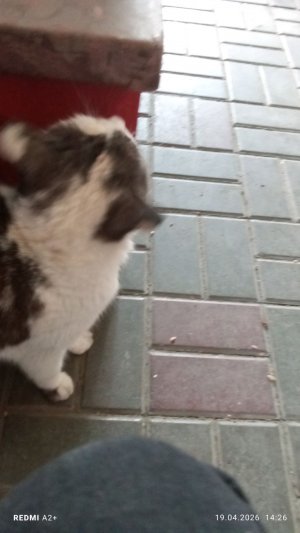 скоро я поеду