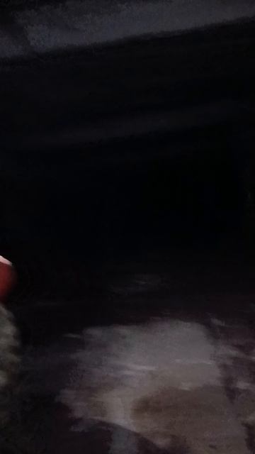 Зашли в взломанную дверь на бетонной заброшке достали пистолет исследуем пространство