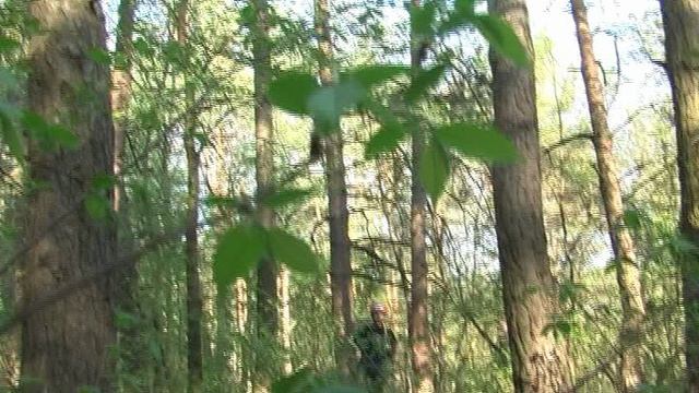 В лесах Безлюдовки 26.04-1.05.2013