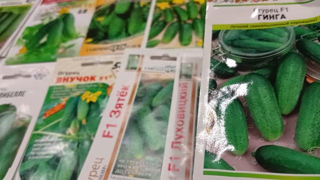 Семена огурцов буду сажать в 2026 году. 🥒