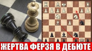 Три жертвы ферзя в дебюте. Яркие красивые комбинации с жертвой ферзя.