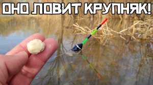 ЗАТОПЛЕННАЯ ЛУЖА ВЫДАЛА ЖОР! Закинул ТАЙНУЮ насадку и они ПОПЁРЛИ! Рыбалка 2026