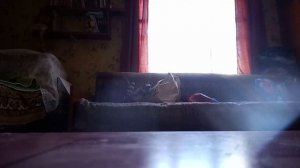 прыжки на выбывание часть 2