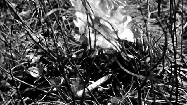 1974 год. Тюменский район. Как возникают лесные пожары