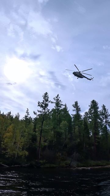 Авиалесохрана