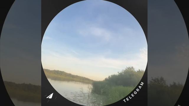 Когда срочно нужно узнать новые сплетни