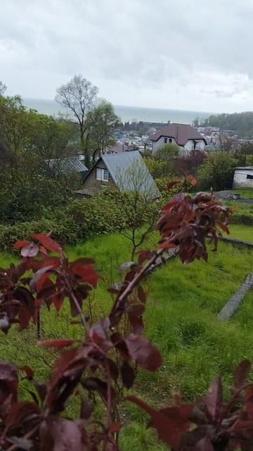 в Сочи дождь