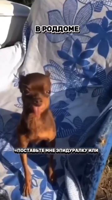 просто роды 😅