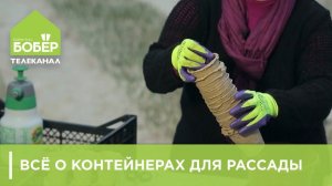 Контейнеры для рассады. Как подобрать контейнер правильно