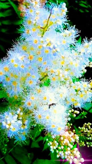 Весеннего Настроения!