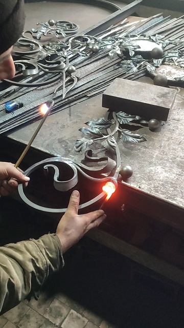 Веточка лозы